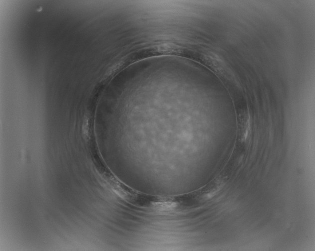 X0000075890266200609291713