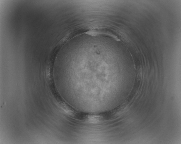 X0000075890268200609291713