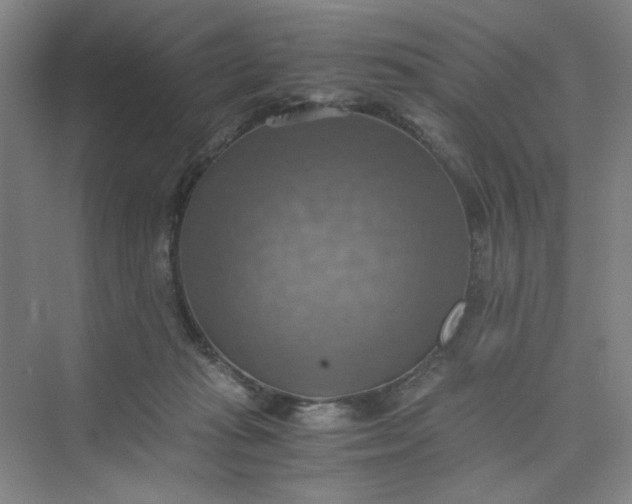 X0000075890269200609291713