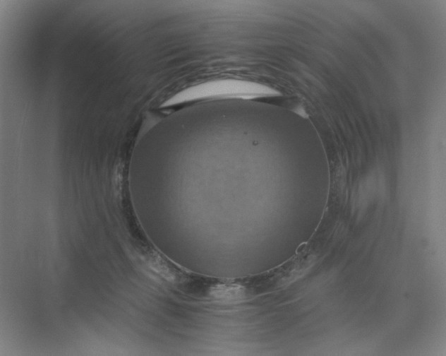 X0000075890271200609291713