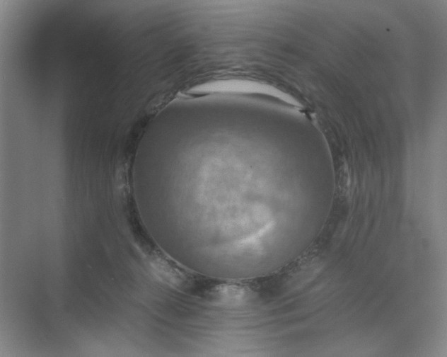 X0000075890272200609291713