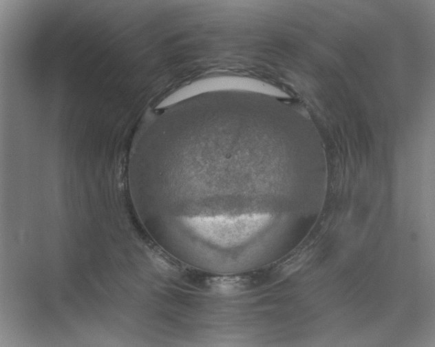 X0000075890273200609291713