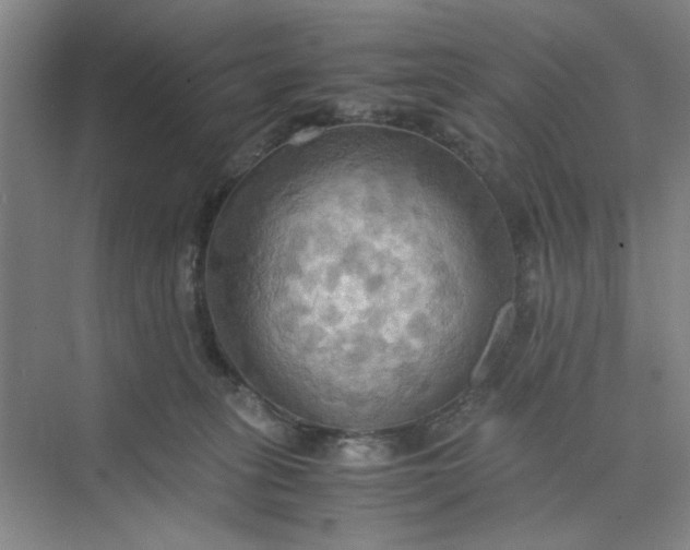 X0000075890275200609291714