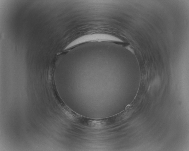 X0000075890277200609291714