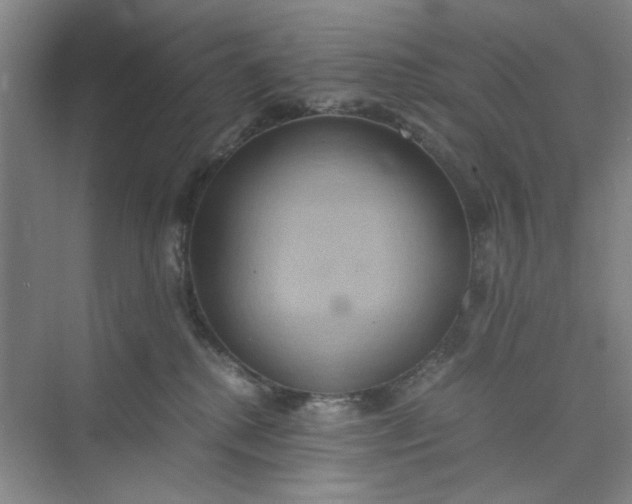 X0000075890280200609291714