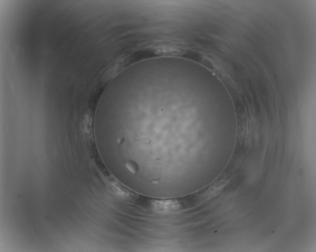 X0000075890281200609291714