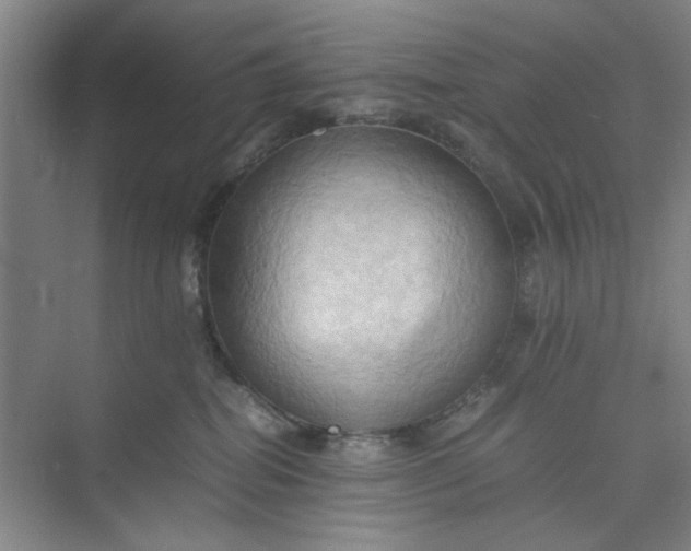 X0000075890282200609291714