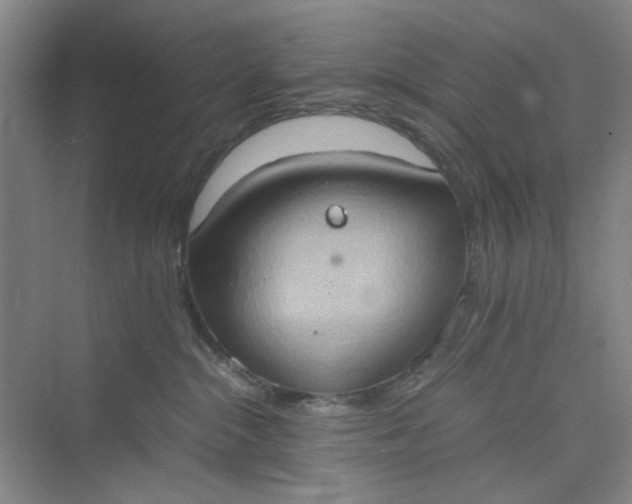 X0000075890284200609291714