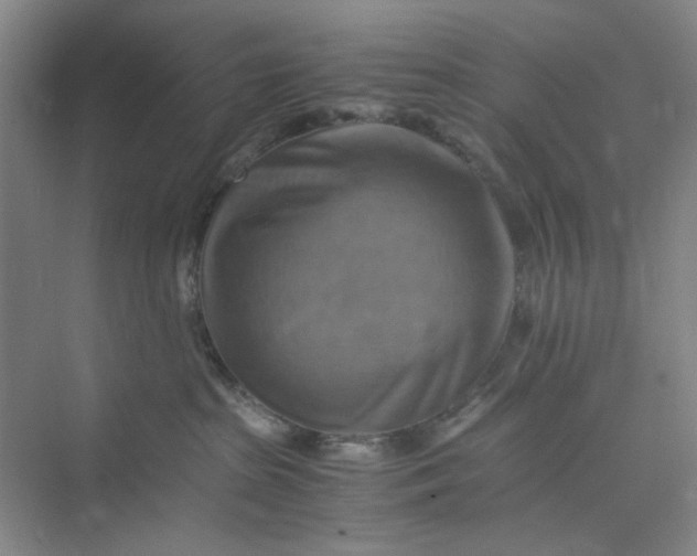 X0000075890285200609291714