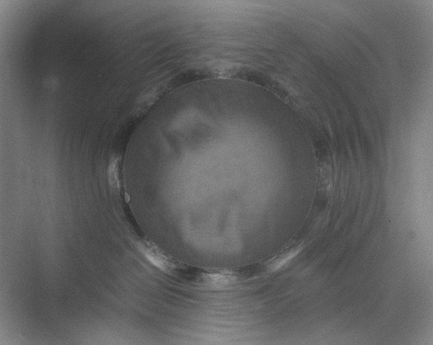 X0000075890286200609291714