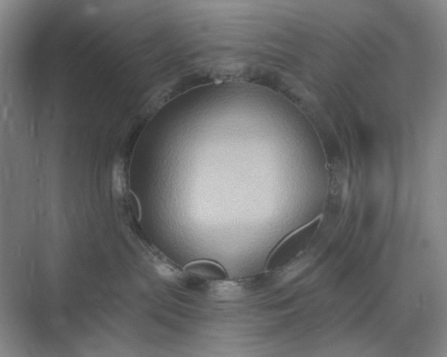 X0000075890287200609291714