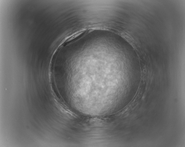 X0000075890290200609291713