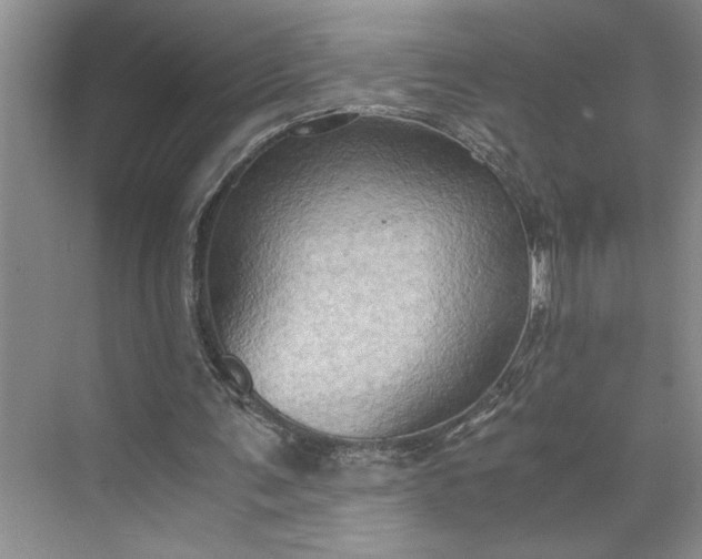 X0000075890291200609291713