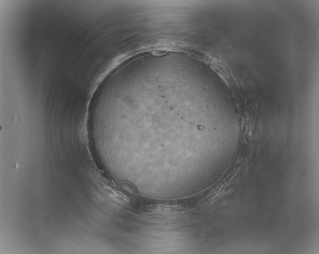 X0000075890292200609291713