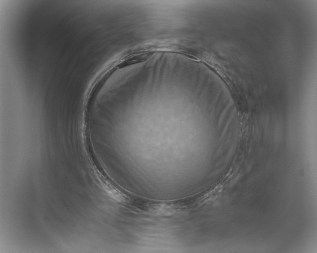 X0000075890293200609291713