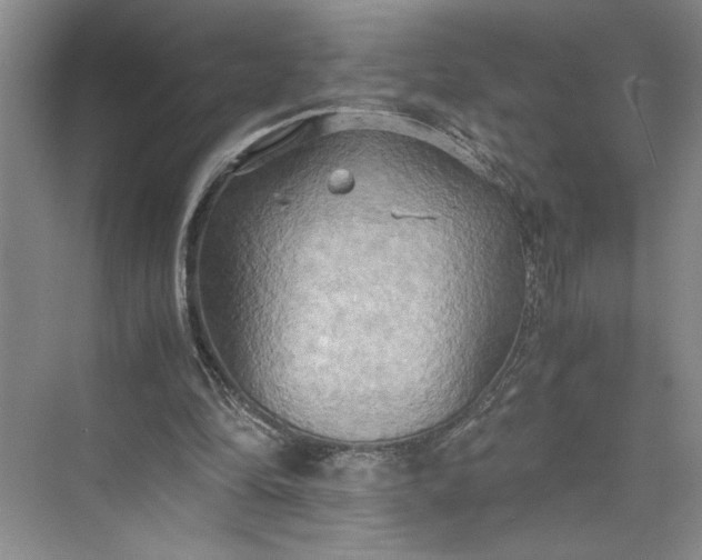 X0000075890294200609291713