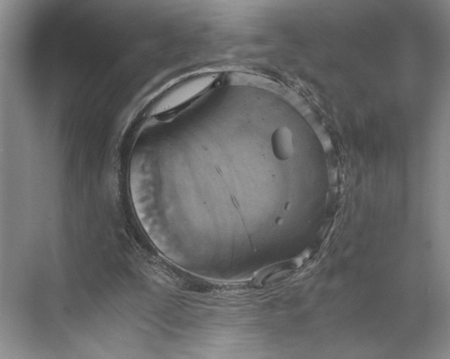 X0000075890295200609291713