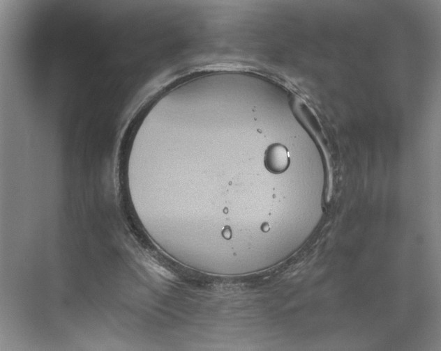 X0000075890296200609291713