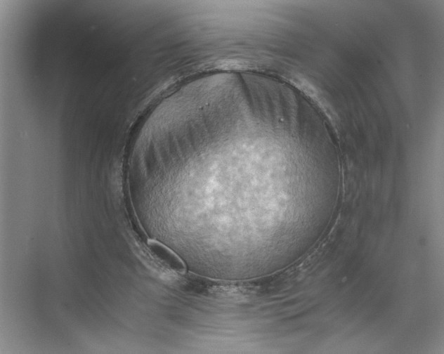 X0000075890297200609291713