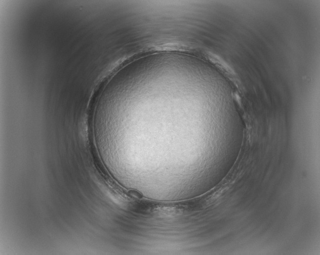 X0000075890298200609291713