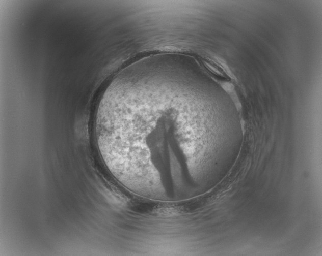 X0000075890299200609291713