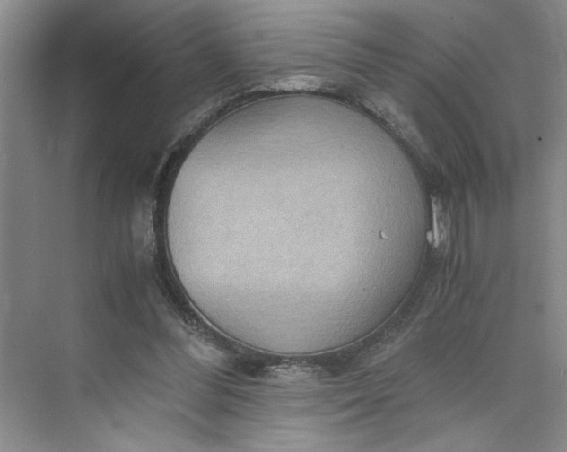 X0000075890300200609291713