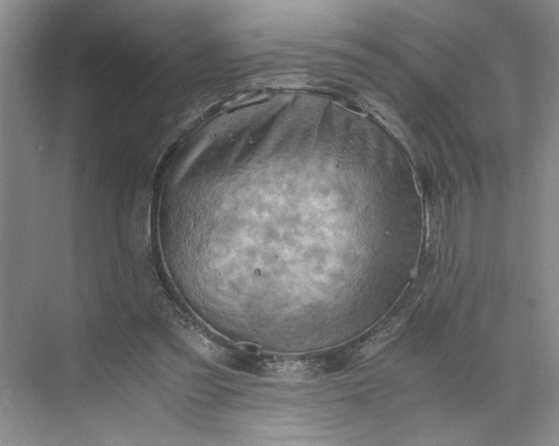 X0000075890301200609291713