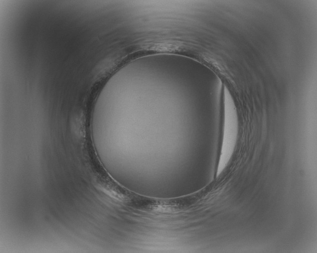 X0000075890303200609291713