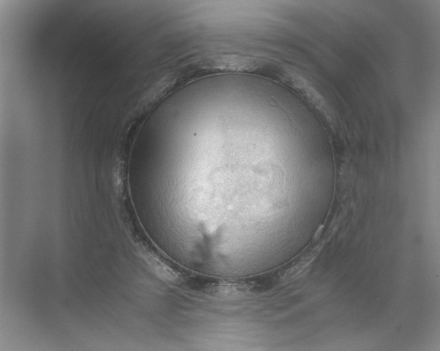 X0000075890305200609291713