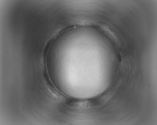 X0000075890306200609291713