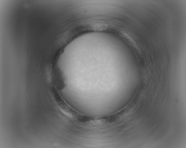 X0000075890307200609291713