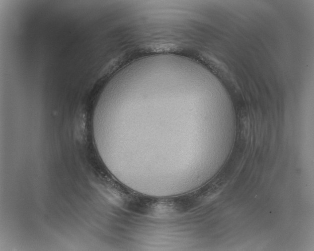 X0000075890308200609291713