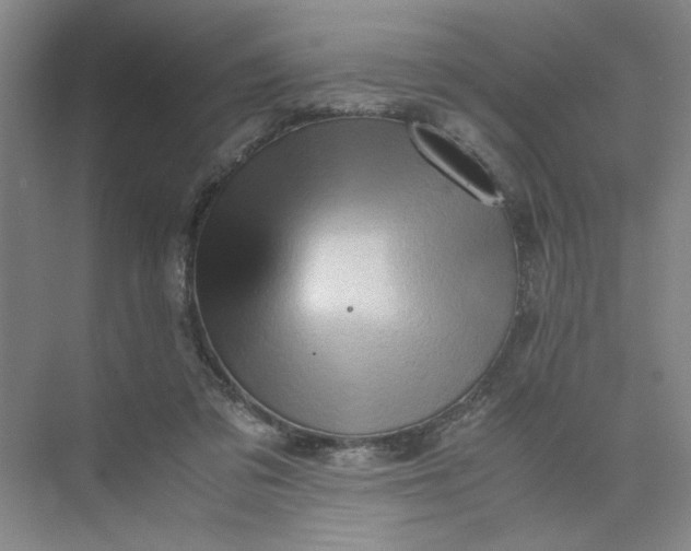 X0000075890309200609291713