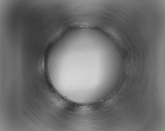 X0000075890310200609291713