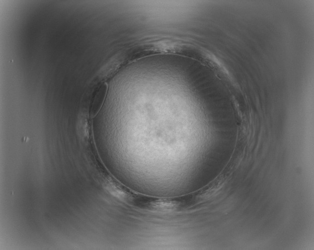 X0000075890313200609291712