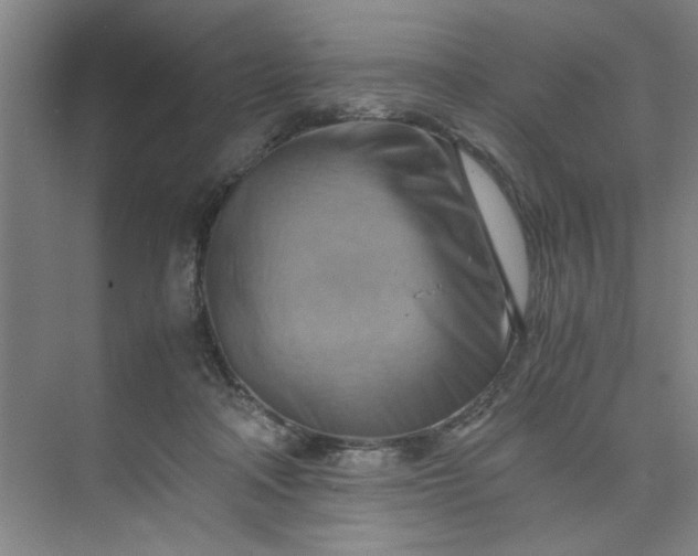 X0000075890314200609291712