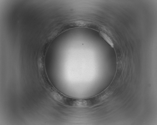 X0000075890317200609291712