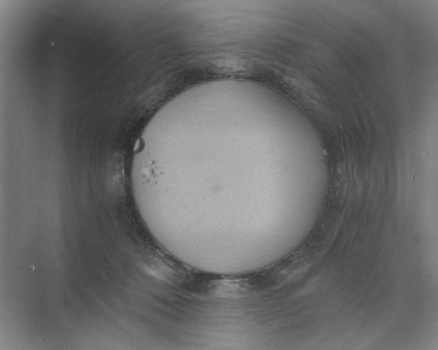 X0000075890320200609291712