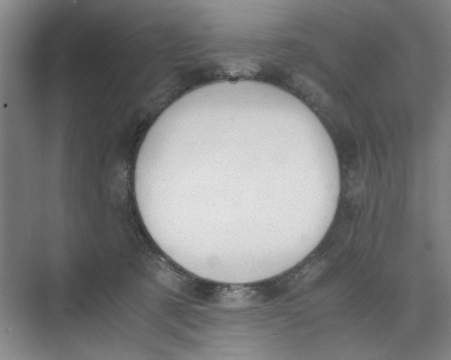 X0000075890321200609291712