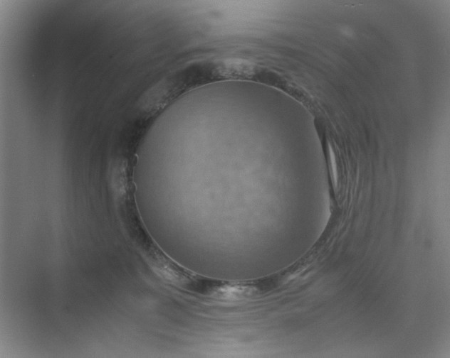 X0000075890323200609291712