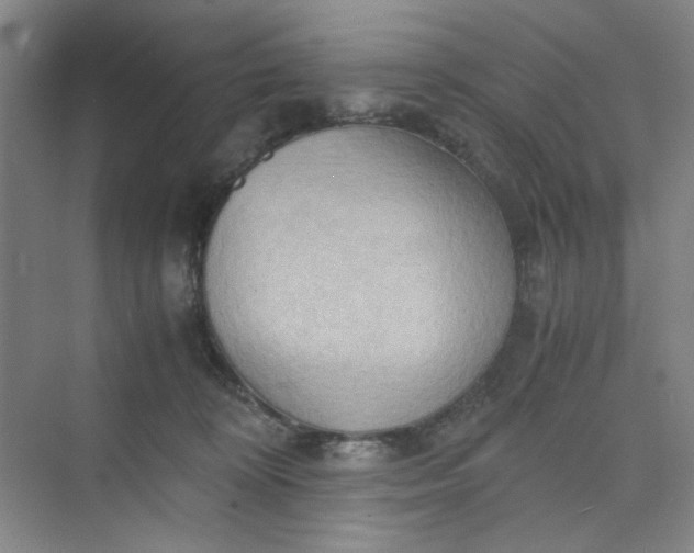 X0000075890324200609291712