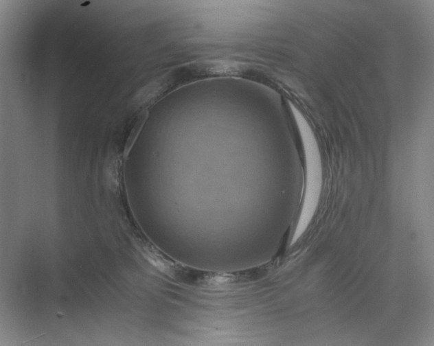 X0000075890325200609291712