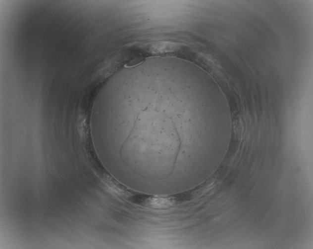 X0000075890327200609291712