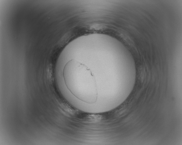 X0000075890328200609291712