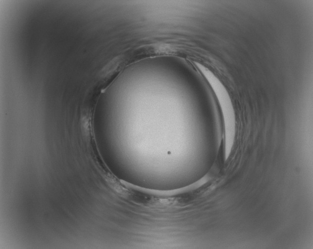 X0000075890329200609291712