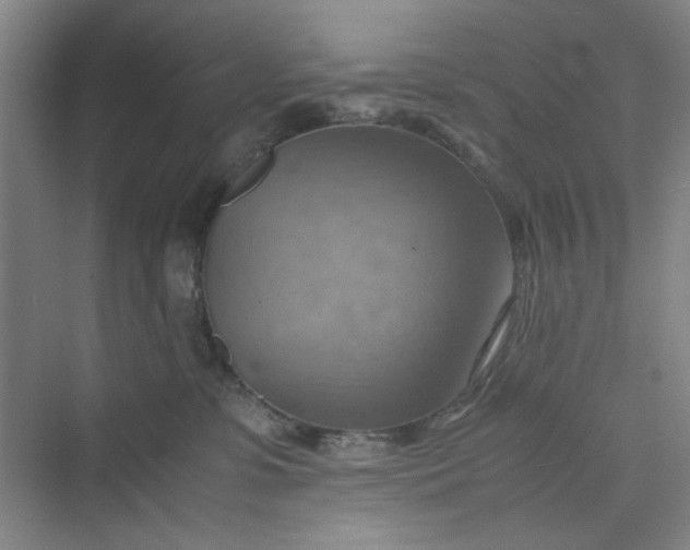 X0000075890331200609291712