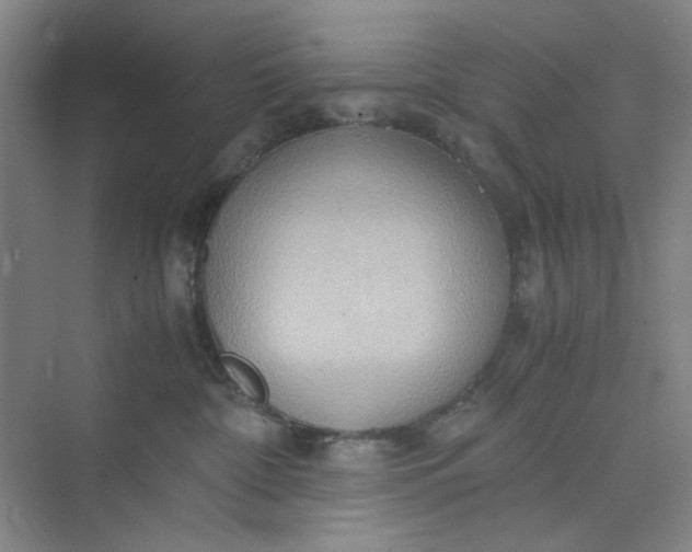 X0000075890332200609291712