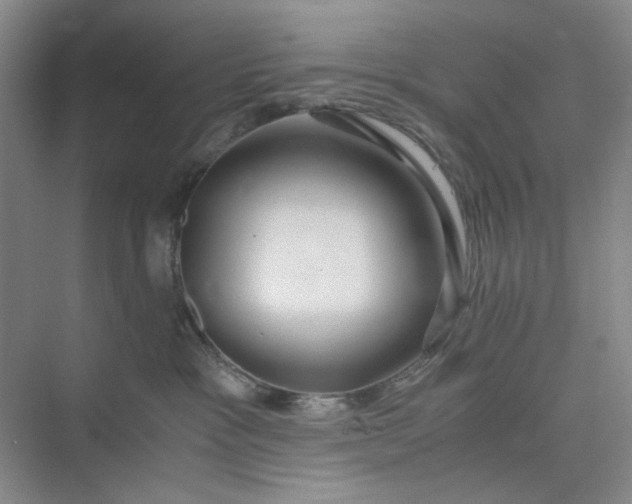 X0000075890333200609291712