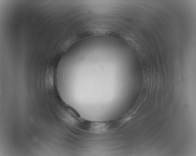 X0000075890334200609291712