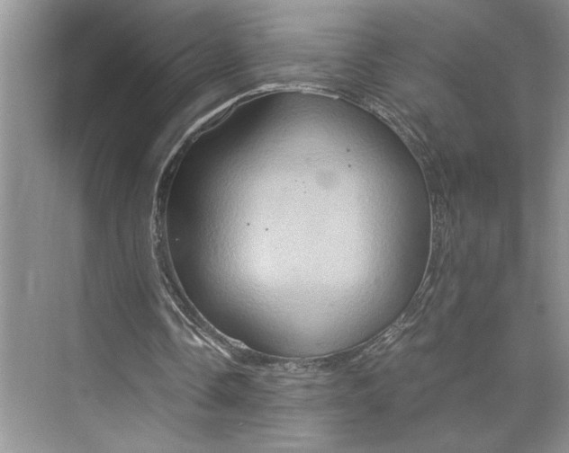 X0000075890338200609291711